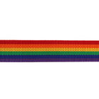 T008 Rainbow Stripe Polyester Webbing Trim