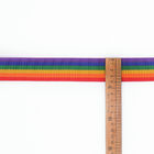 Colourful Polyester Rainbow Webbing Trim For Pet Leash